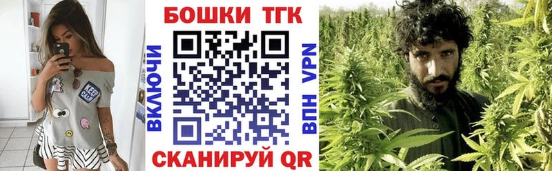 A PVP Белёв