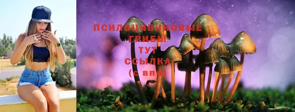 стафф Баксан